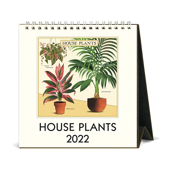 2022 데스크캘린더 House Plants