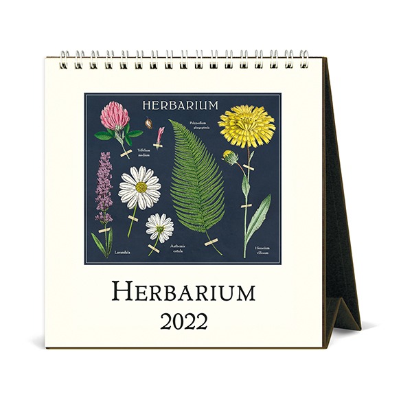 2022 데스크캘린더 Herbarium