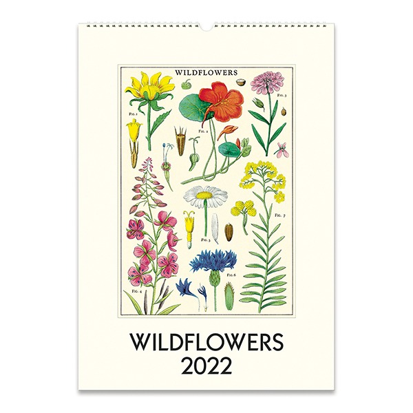 2022 카발리니캘린더 Wildflowers