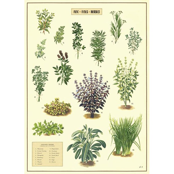 카발리니 포스터-Kitchen Herbes