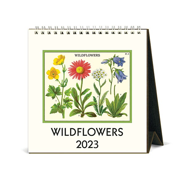 2023 데스크캘린더 Wildflowers